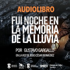 Fui noche en la memoria de la lluvia | Audiolibro | SMRTV