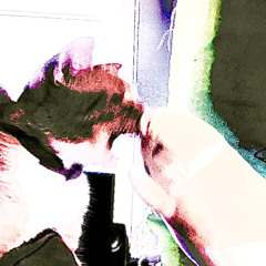 back to strangers cover (Rehash)