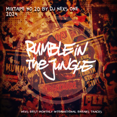 Rumble in the Jungle - Mixtape No. 20 2024 11 by DJ Nexs One