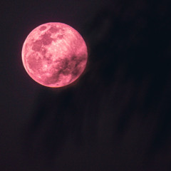 I n t e r c o n n e c t e d // Full Moon Ecstatic Dance 4.12.25