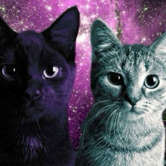 She Didn't Like (My Kind)