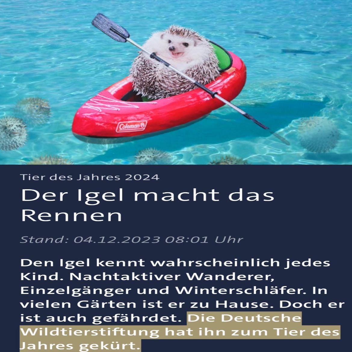 SCHIEBT ANDERS KOLLEKTIV – IGEL LIED