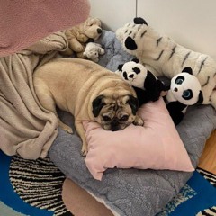 Chtěl jsem jít ven (DAY ONE)