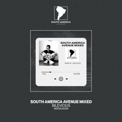 South America Avenue Mixed 009 | Bilevicius