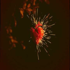 Is This What They Call Love (DJP)