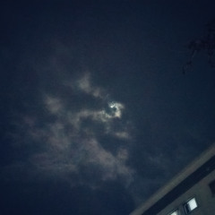 moonlight (under these skies)