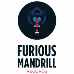 Label Spotlight Mix No.3: Furious Mandrill Records
