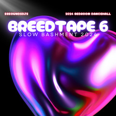 SbSoundsDjs Presents Breed Tape 6  - Slow Bashment BedRoom Dancehall 2024 Explicit