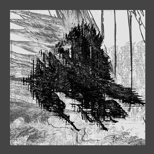 Premiere: Diasiva - Taligrade [Arboretum Records]