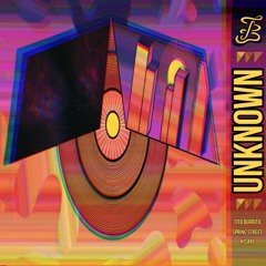 Tito Burrito X Spring Street - Unknown (ft. KISAKI)