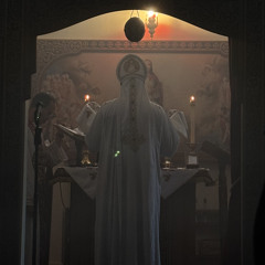 the flock will be saved | Fr David R. Botros