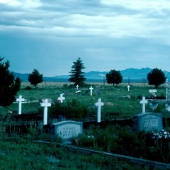 little queen of pain (pacific)