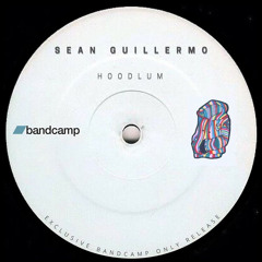 PremEar: Sean Guillermo - Hoodlum