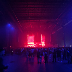 Bass Down Low