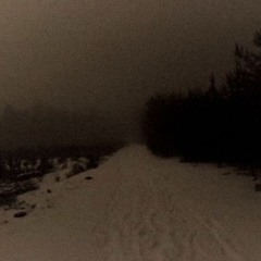 Autumn, Leaves, Scars - Liman (2015)