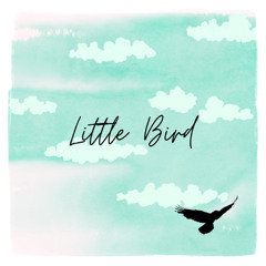 Little Bird