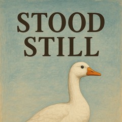Stood Still