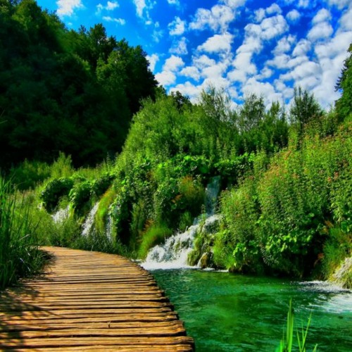 पृष्ठभूमि free background DOWNLOAD
