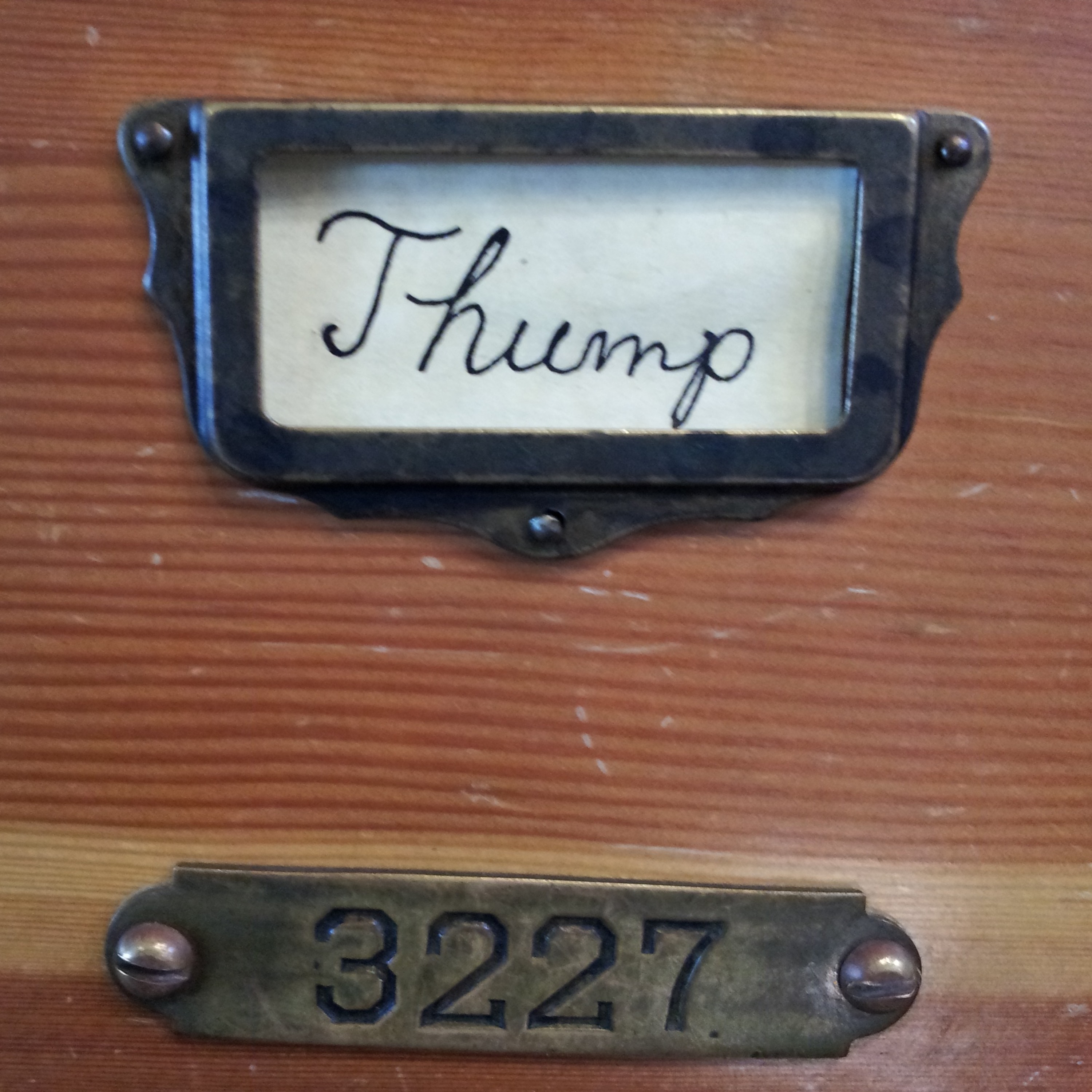 dj tom thump