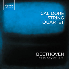 String Quartet No. 4 in C Minor, Op. 18 No. 4: II. Andante scherzoso quasi Allegretto
