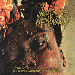 Gorenoise