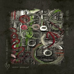 sense unusual w. MADAMI - 25 April 2024