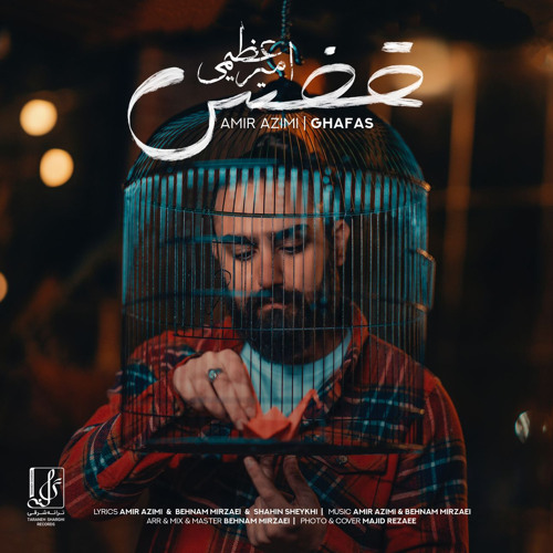 Amir Azimi _ Ghafas