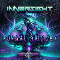 InnerSight - Soul Mesh