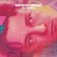 Northern Portrait - Pool Cue Vigilante