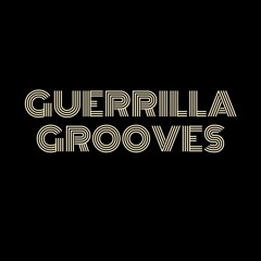Guerrilla Grooves Jan Full Moon Party