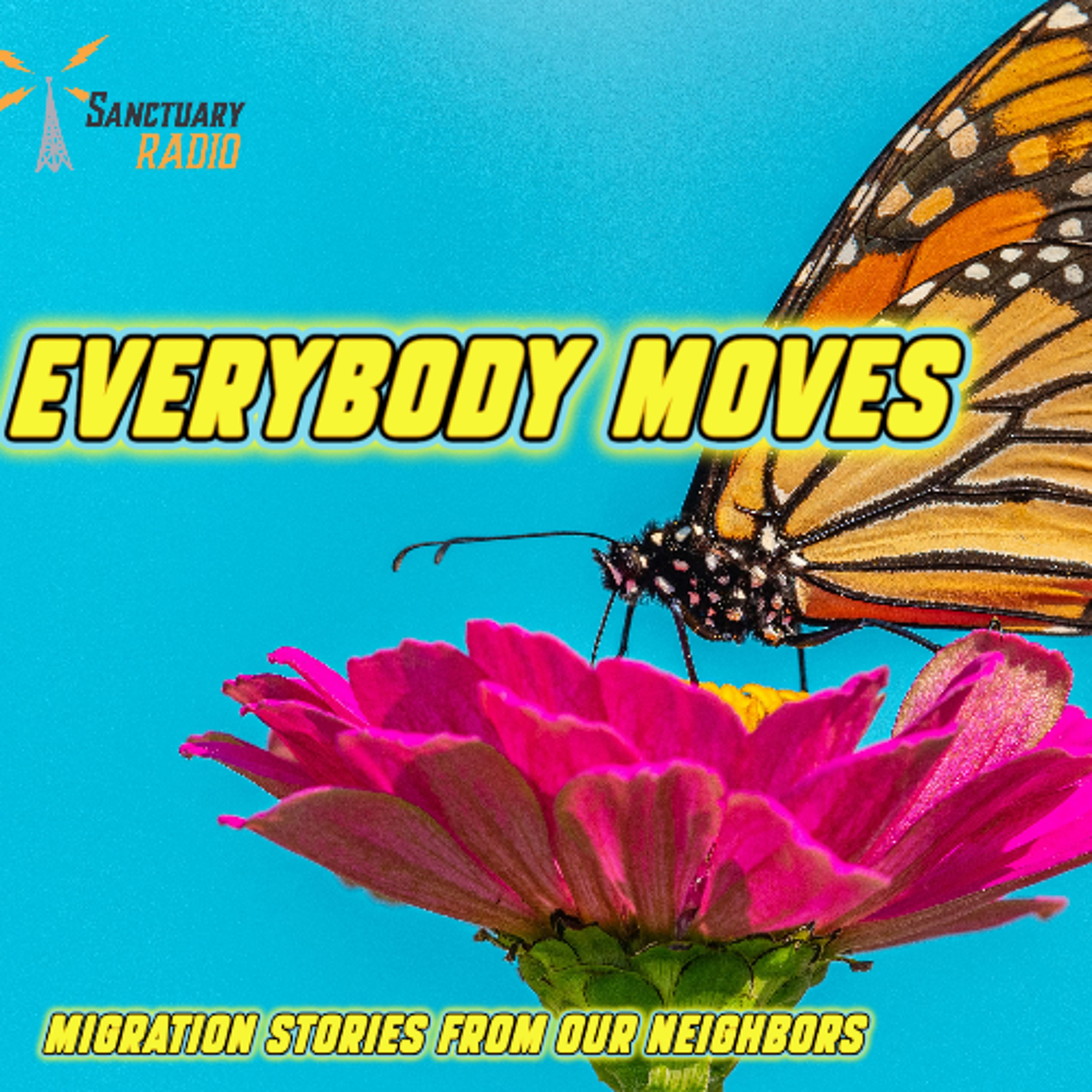 HMM_12-29-2025 Everybody Moves Special episode artwork