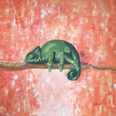 Chameleon