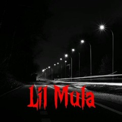 No Trust by Lil Mula