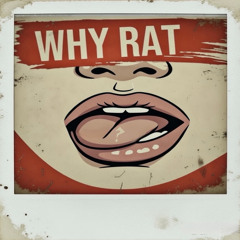 instrumental_12_12_25