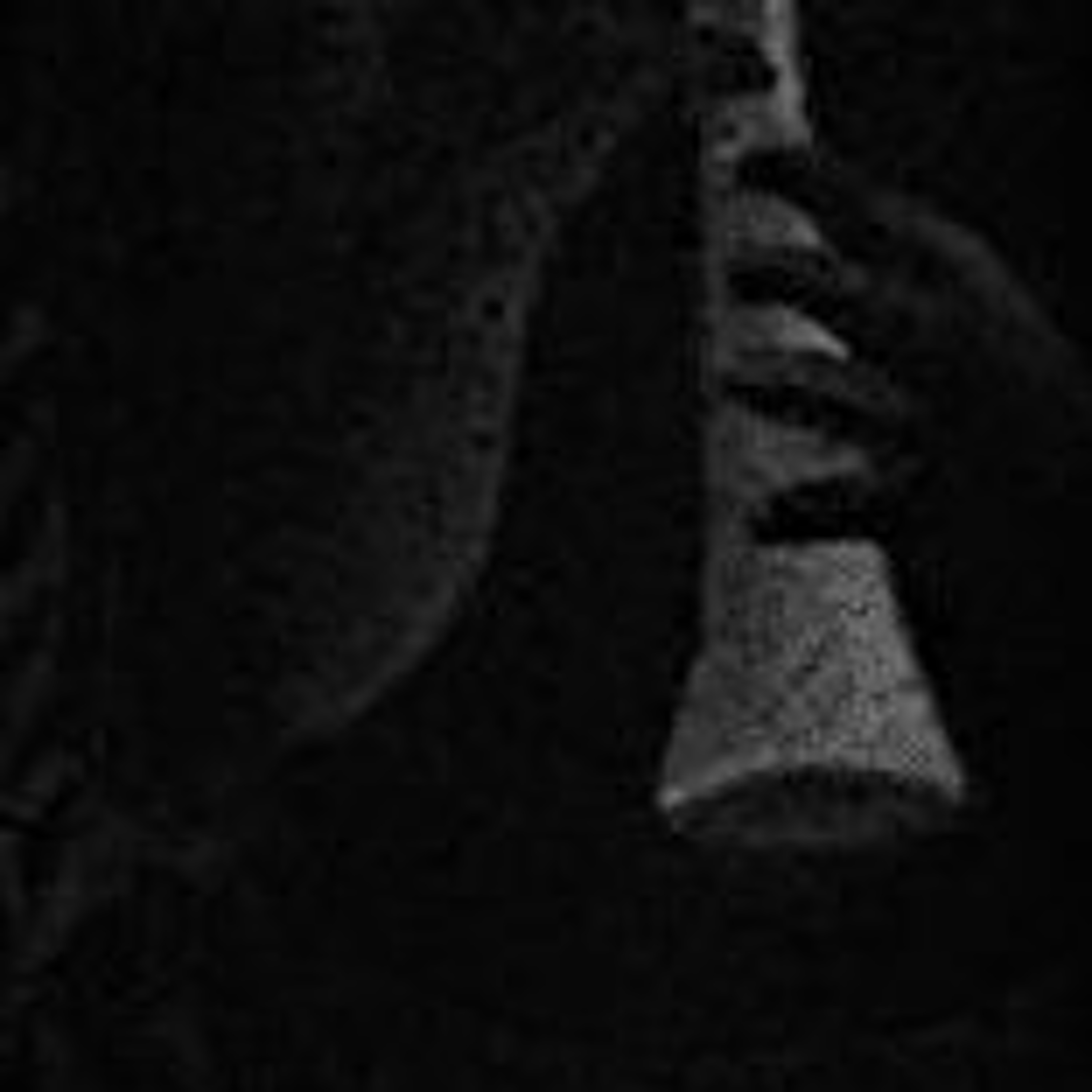 fine electronic dance music