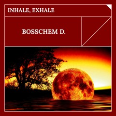 Relaxing Music Guaranteed Part 1