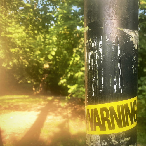 Warning #95 Repeating Path