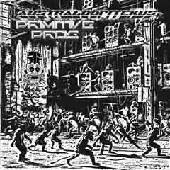 PRIMITIVE PROG