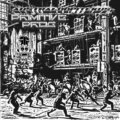 PRIMITIVE PROG