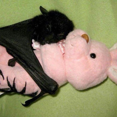 dont call me i speak to u in dreams