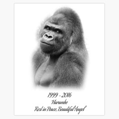 Big Gorilla Shyt prod. mawko