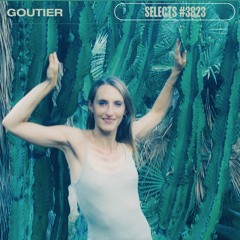 Goutier selects #3823 [House]