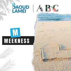 "M" Meekness - ABC Christian Marriage - Fr. Daoud Lamei
