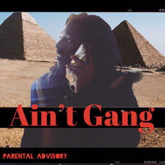 Aint Gang