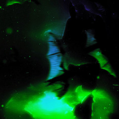 reset [ Prod. Nannaa ]