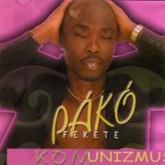 Pal Pali Pako Palko Peter Netfit 20米往返跑测试中
