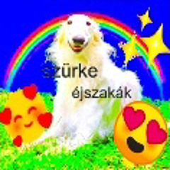 DÖn C - SZÜRKE ÉJSZAKÁK (> <)