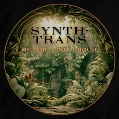 Synth - Trans/Melodic Deep House.