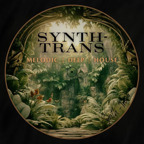 Synth - Trans/Melodic Deep House.