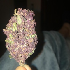 COLORS w/@perocatar @flexin